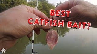 How To Catch Catfish From The Bank  Catfishing Bait Rigs amp Tips [upl. by Edlun]