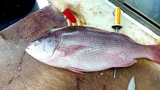 How to Take the Skin off Red Snapper  Amazing Fillet Skills  Easy and Fast [upl. by Anah]