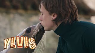 Ylvis  Language of Love Official music video HD [upl. by Witha]