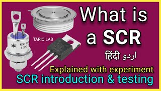 What Is A SCR  How To Test SCR  Silicon Controlled Rectifier Explained With Experiment [upl. by Nicholl]