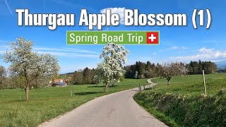 Spring in Switzerland 🇨🇭 Ep6 • Road Trip through the Thurgau apple blossom landscape Pt 1 🍎 4K [upl. by Reaht651]