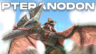 COMO TAMEAR PTERANODON y TODAS SUS HABILIDADES PC PS y XBOX  ARK [upl. by Andri575]