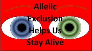 How Allelic Exclusion Helps YOU Stay Alive [upl. by Kiyoshi]