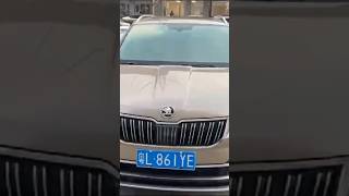 Skoda Karoq в красивом цвете [upl. by Bohman]