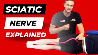 What is Sciatica and What Causes it Sciatica Explained by a Physiotherapist [upl. by Notsecnirp]