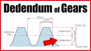 Dedendum of gears [upl. by Seidnac]