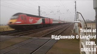 Trains at Biggleswade Crossing amp Langford ECML  080118 [upl. by Jeanne192]