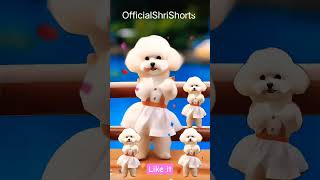 amazing dance  cute cat dance  smart cat cat cute youtubeshorts [upl. by Nahtanohj]