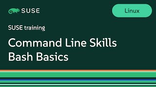 Command Line Skills Bash Basics [upl. by Artemahs436]