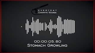 Stomach Growling  HQ Sound Effects [upl. by Anoyk767]