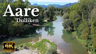 Aare Dulliken Switzerland 4K 🌊☀️ [upl. by Llehsor]