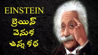 ALBERT EINSTEIN BIOGRAPHY IN TELUGU  What happened to einsteinquots brain [upl. by Thorrlow231]