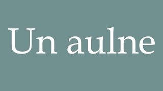 How to Pronounce Un aulne An alder Correctly in French [upl. by Anij]