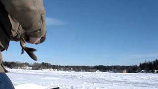 Ice Fishing Beaver Lake Derry NH [upl. by Arhsub]