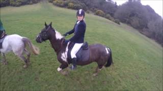 The Bray Harriers Glenealy Hunt 25 Feb 2017 [upl. by Mcdougall]