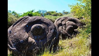 Do these Trovant Rocks really Grow [upl. by Sekoorb721]