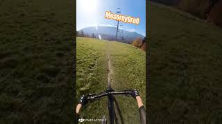 bikepark enduro mosornygron zawoja mtb ebike endurotrails downhill bike mountainbike [upl. by Madelena443]