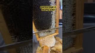 Uncapping A Honey Frame [upl. by Lean]