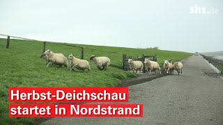 Katastrophenschutz HerbstDeichschau startet in Nordstrand [upl. by Namus752]