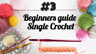 How to crochet  Lesson 3  Basics for beginners  🧶 In English  Single Crochet Stitch [upl. by Dal]