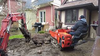 Removing debris with mini ex dumper loader and dump trailer in small backyard [upl. by Einnod47]