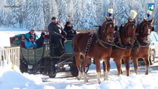 Rothenthurm  Willkommen im Hochtal der Biber 2016 [upl. by Shayn]