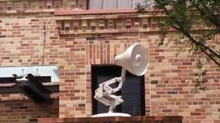 Luxo Jr Debuts at Pixar Place Disneys Hollywood Studios [upl. by Ydnagrub]