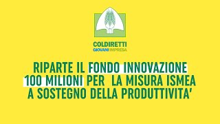 FONDO INNOVAZONE ISMEA 2024  Tutto quello che cè da sapere sul nuovo bando [upl. by Georgeanna375]