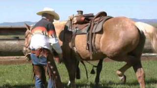 How to Western Saddle a Horse [upl. by Akaya]