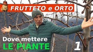 Design del tuo orto posizionamento ottimale delle piante [upl. by Manton]