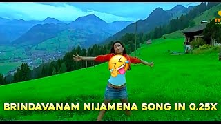 Brindavanam nijamena song in 025x [upl. by Crespi]