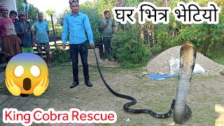 🐍 😱 King Cobra snake rescue in Nepal  पहिलो चोटी भेटियो यति ठूलो किंग कोब्रा सर्प [upl. by Avrenim532]