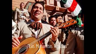 Las Mañanitas con Mariachi  En Tu Día y Felicidades [upl. by Mcgean]