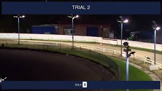 Perry Barr Trials on 26th October 2024 [upl. by Dennis585]