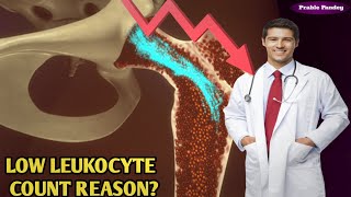 low leukocyte count reason leukocyte काउंट कम क्यों हो गया है ल्यूकोसाइट्स wbc low है क्या करें [upl. by Hirasuna567]