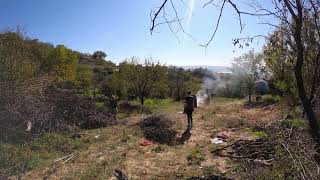 Hard Work in Action Clearing Tree Branches  Timelapse timelapse [upl. by Audry616]