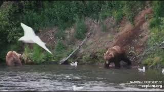 20240706 089 and 856 dine on the far bank exploreorg [upl. by Friedman778]