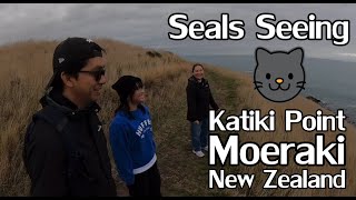 Seals Seeing  Katiki Point Moeraki New Zealand GoPro MAX [upl. by Enaamuj]