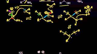 Acid and basecatalyzed hydrolysis of amides  Organic chemistry  Khan Academy [upl. by Adest]