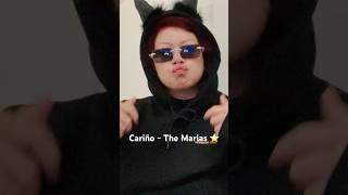 Cariño  The Marias vocal cover [upl. by Cacilia]