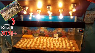 CHICKS HATCHING IN GLASS CONTAINER  BEST INCUBATOR FOR CHICKEN EGGS  DIY  YOU CAN DO THIS [upl. by Nythsa]