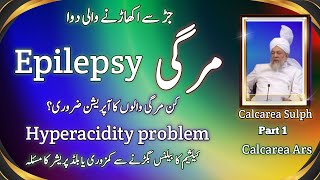 Epilepsy Hyperacidity problem  Mergi calcarea sulph  Calcarea ars [upl. by Reffotsirhc]