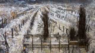 Anselm Kiefer  Teutonic Mythology [upl. by Isac]