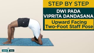 Dwi Pada Viprita Dandasana Upward Facing TwoFoot Staff Pose Benefits How to Do  Siddhi Yoga [upl. by Quiteris]