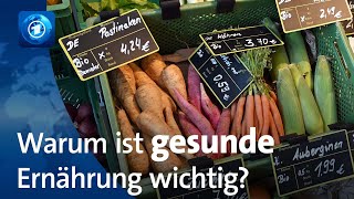 Warum gesunde Ernährung wichtig ist [upl. by Groves319]