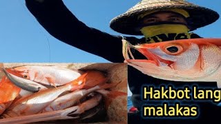 Hakbot lang malakas  Morning fishing  traditional handline fishing [upl. by Metabel]