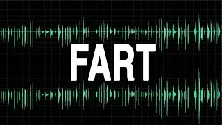 Fart sound effect [upl. by Blau]