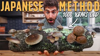 How Im Growing my own Shiitake Mushrooms [upl. by Jerrold]