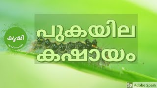 പുകയില കഷായം എങ്ങിനെ ഫലപ്രദമായി ഉപയോഗിക്കാം  tobacco pesticide preparation and usage [upl. by Nedmac]