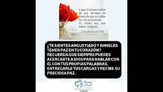 ¿Deseas unirte a un grupo de Madres Unidas para Orar e interceder por tus hijos [upl. by Ahtaga88]